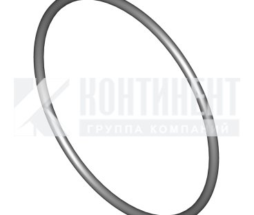 Фото: 25 3111 2196 Кольцо уплотнительное стакана сапуна картера 086-092-36-2-1