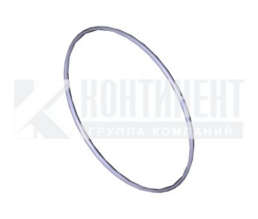 53.1111049-01 Кольцо уплотнительное Фото: 53.1111049-01 Кольцо уплотнительное