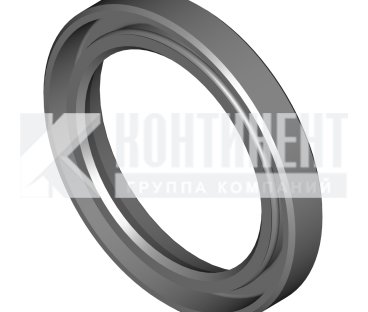 Фото: 8.9127 Манжета с пружиной